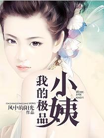 我的极品小姨的封面