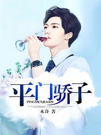 平门骄子的封面