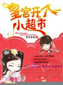 皇宫开个小超市的封面