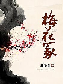 梅花冢的封面