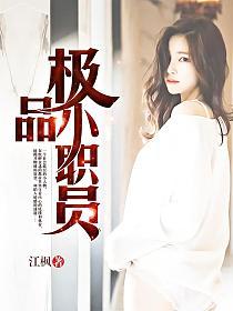极品小职员的封面
