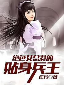 绝色女总裁的贴身兵王