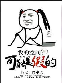 我的空间可能是假的的封面