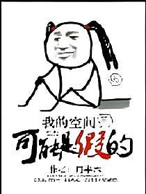 我的空间可能是假的的封面