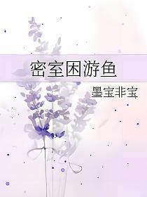 密室困游鱼的封面