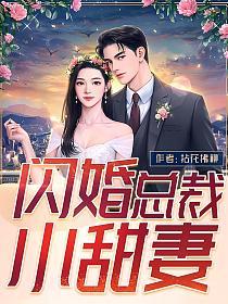 闪婚总裁小甜妻的封面