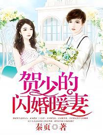 贺少的闪婚暖妻（《贺先生的恋恋不忘》原著）的封面