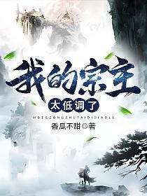 我的宗主太低调了的封面