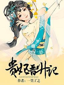 贵妃晋升记的封面