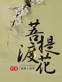 菩提渡花的封面