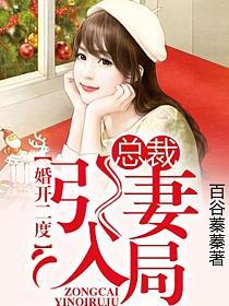 婚开二度，总裁引妻入局的封面