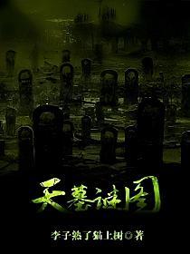 天墓谜图的封面
