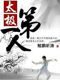 太极第一人的封面