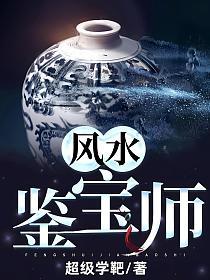 风水鉴宝师的封面