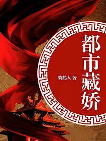 官场：都市藏娇的封面