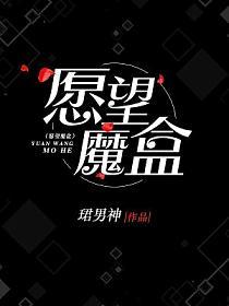 愿望魔盒的封面