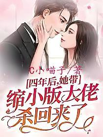 四年后，她带缩小版大佬杀回来了！的封面
