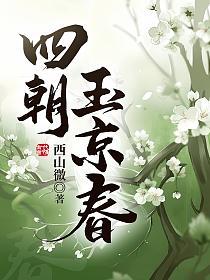 四朝玉京春的封面