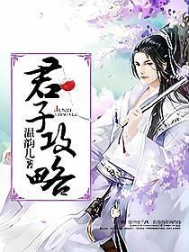 君子攻略的封面图