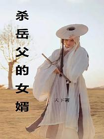 杀岳父的女婿的封面