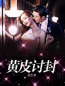 黄皮讨封的封面