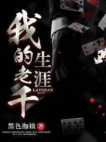 我的老千生涯的封面