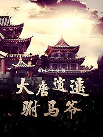 大唐逍遥驸马爷的封面