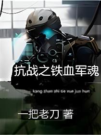 抗战之铁血军魂的封面