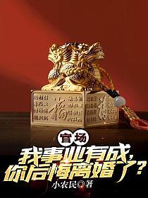 官场之我事业有成，你后悔离婚了？(潘宝山)的封面图