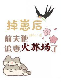 掉崽后前夫他追妻火葬场了[abo]