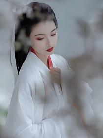 人生若只如初见的封面图