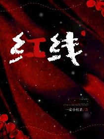 红线的封面图