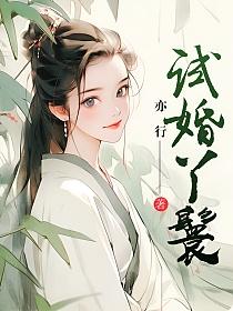 试婚丫鬟的封面图