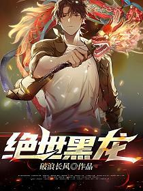 绝世黑龙(破浪长风)最新章节在线阅读_叶凌天_书旗网