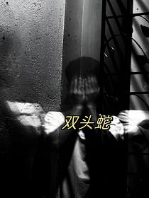 双头蛇的封面图