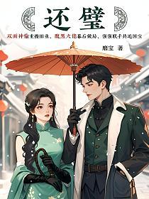 还璧的封面