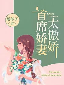 首席娇妻太傲娇的封面