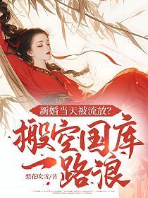 新婚当天被流放？搬空国库一路浪的封面