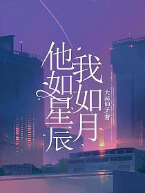 他如星辰我如月(大蒜仙子)最新章节在线阅读_沈南栀赵西辞_书旗网