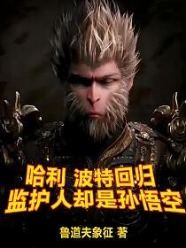 哈利波特回归，监护人是孙悟空的封面