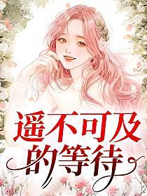 遥不可及的等待的封面