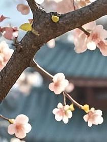 测试痛点优化3(返现、哈哈哈、其他主角1、其他主角2)的封面图