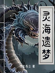 灵海遗梦的封面