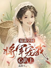 福满空间：将军宠我心趴上的封面