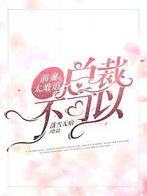 前妻太难追：总裁不可以的封面