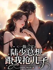 一胎三宝，陆少总想跟我抢儿子的封面