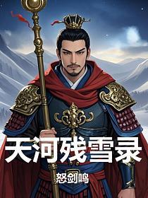 天河残雪录的封面
