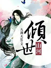 倾世山河的封面