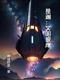 星渊：文明彼岸的封面