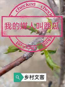 我的媒人叫西瓜